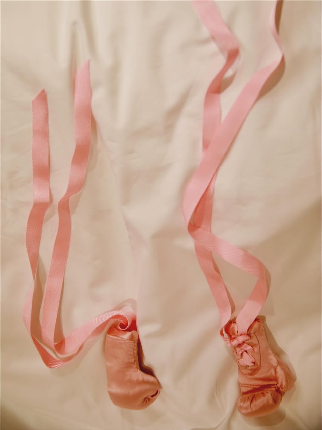 Los guantes de boxeo en la foto de Rihanna generaron teorías entre fans sobre un posible homenaje al personaje Rocky Balboa.