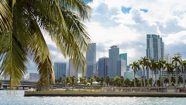 El tremendo contraste de Nueva York, Boston y Chicago con ciudades como Miami