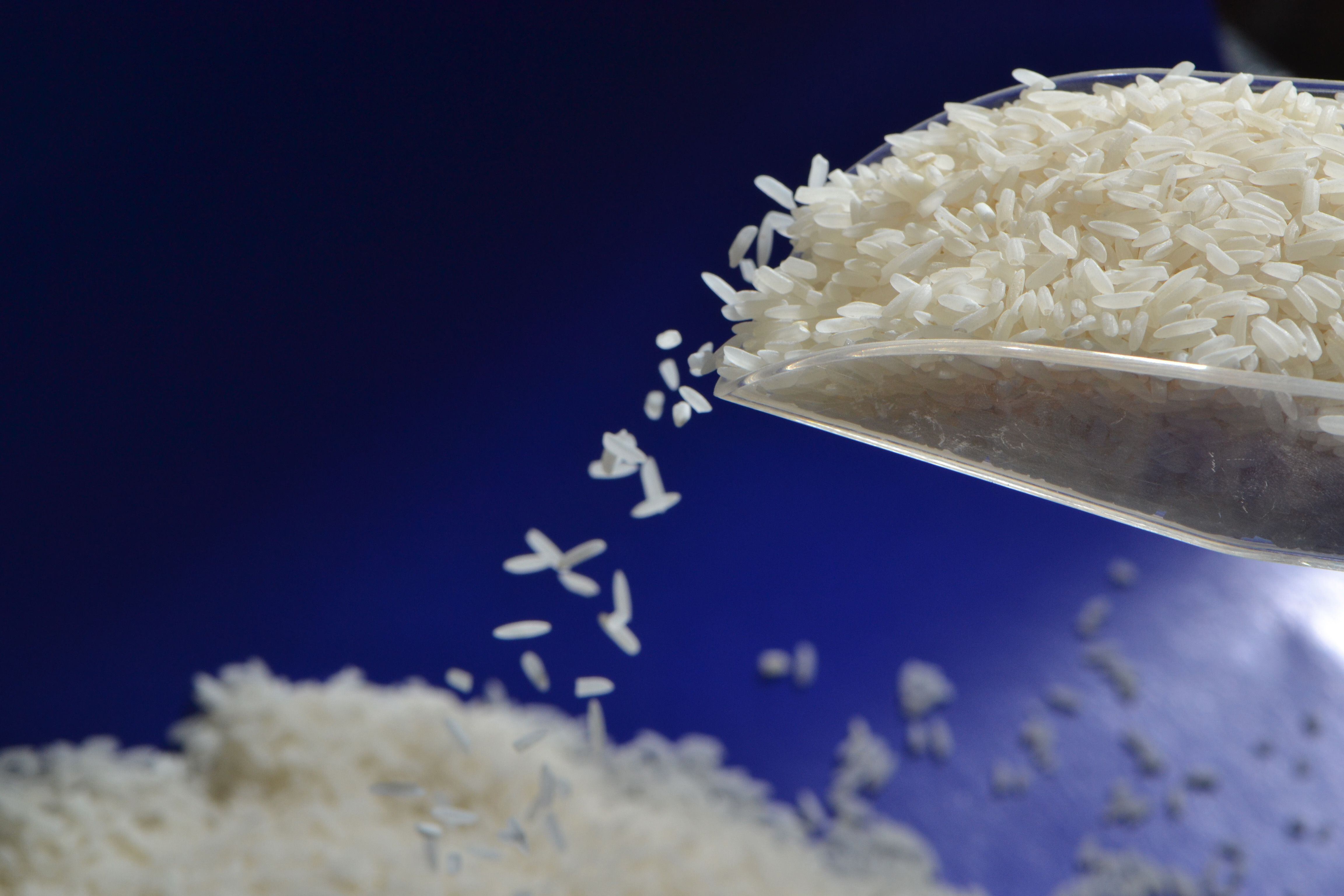 Granos de arroz cayendo de una cuchara sobre un fondo azul, representando el proceso de venta de la Corporación Arrocera Costa Rica S.A. (Cacsa), distribuidora de la marca de arroz Imperio.