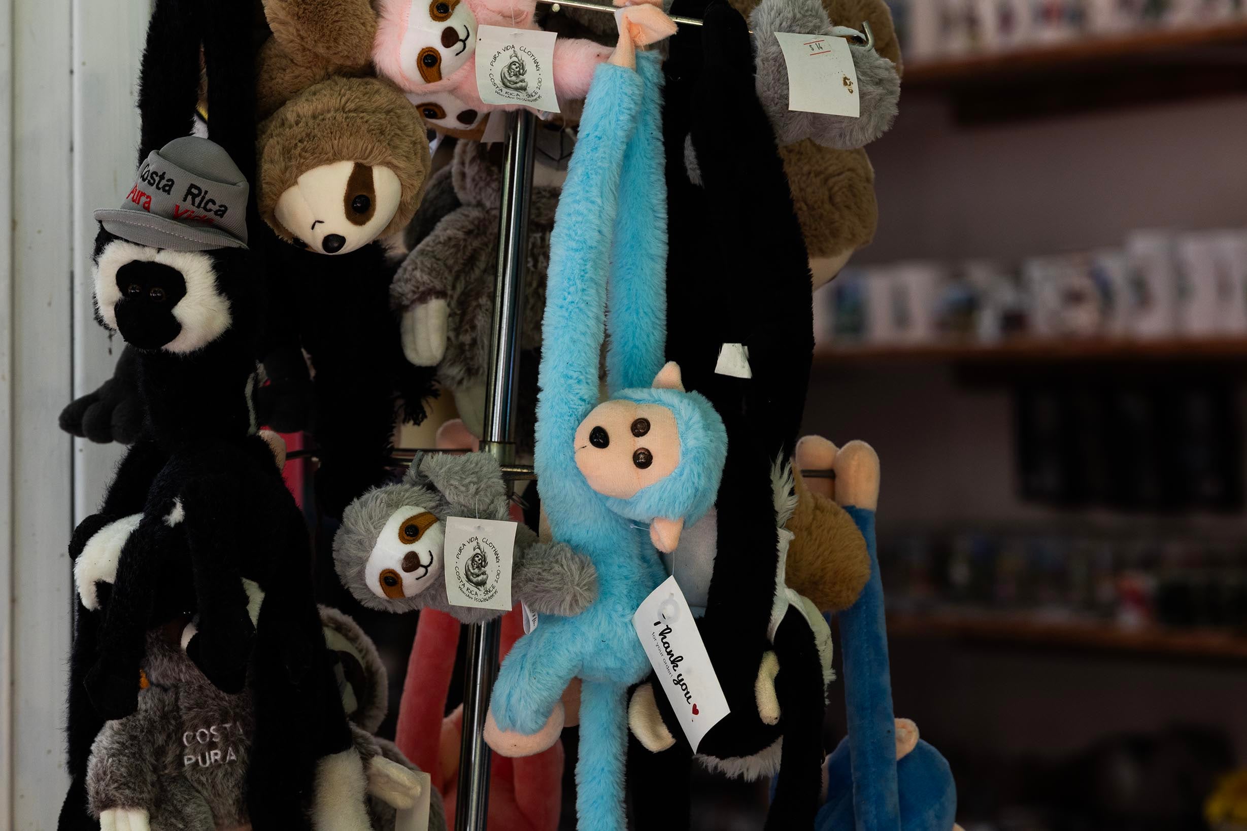 Pueblo Nuevo ( La Mona )