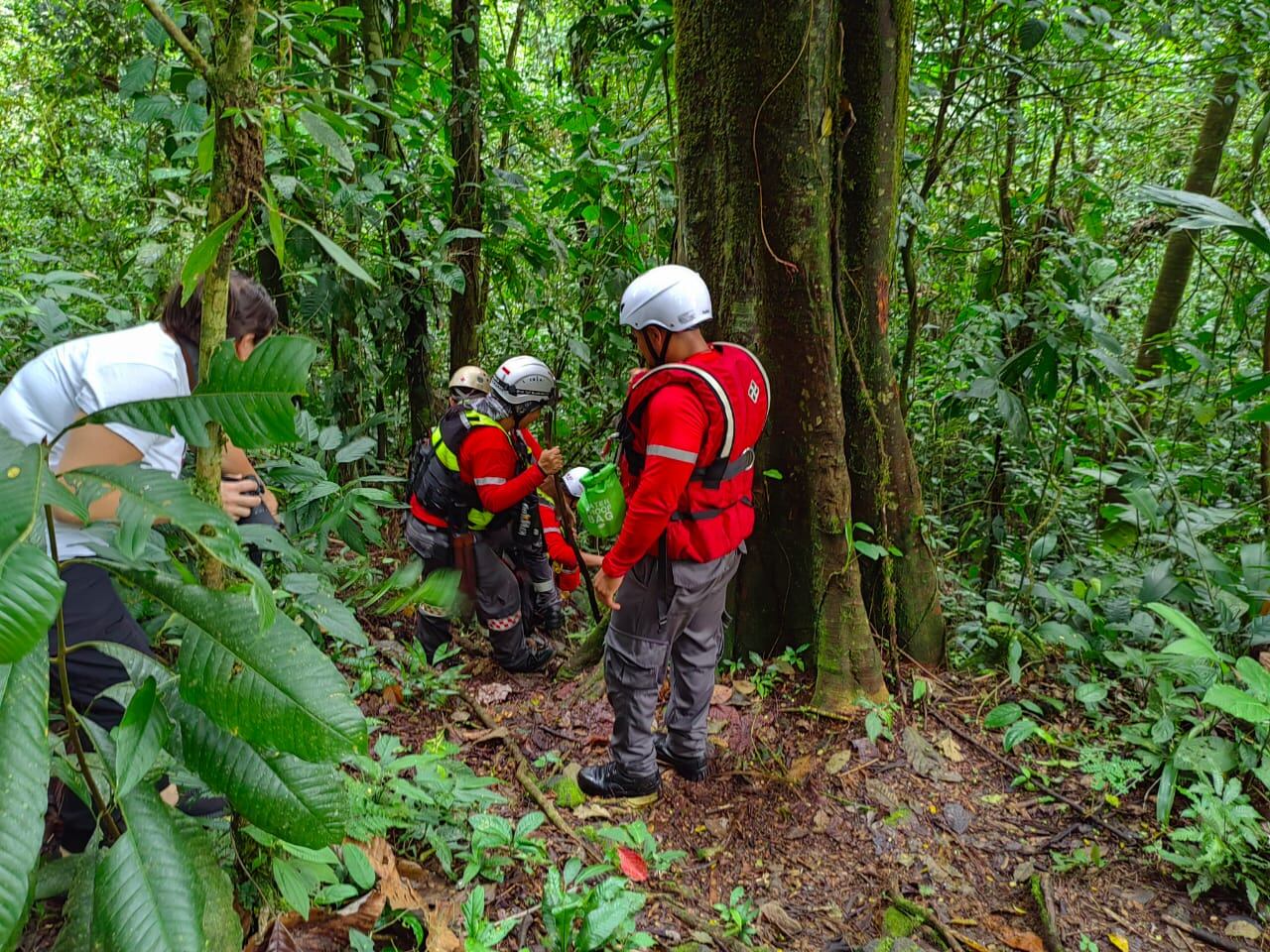 Un bosque, un grupo de cruzrojistas trabajando en la búsqueda de dos desaparecidos.