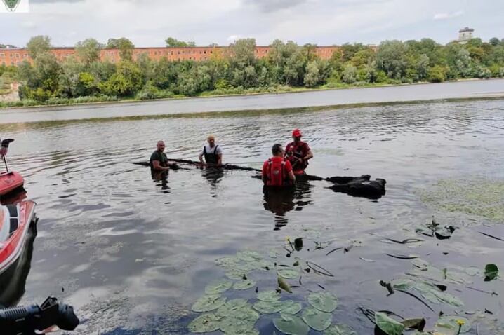 Las imágenes muestran el tronco con un hueco parcial y lleno de agua, proporcionando una visión clara de la estructura de la canoa y su estado de conservación.