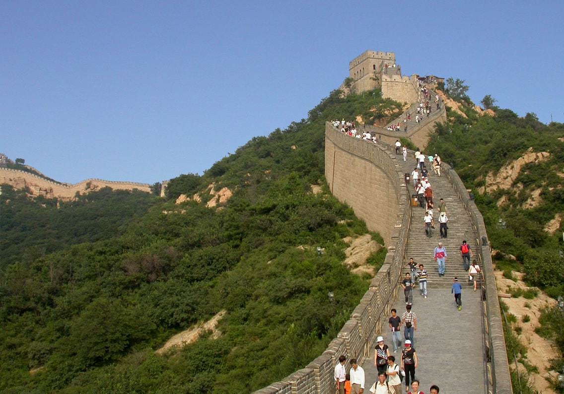Bosque replantado mediante el proyecto Miyawaki, a lo largo de la Gran Muralla China, en una zona deforestada desde hace mucho tiempo.