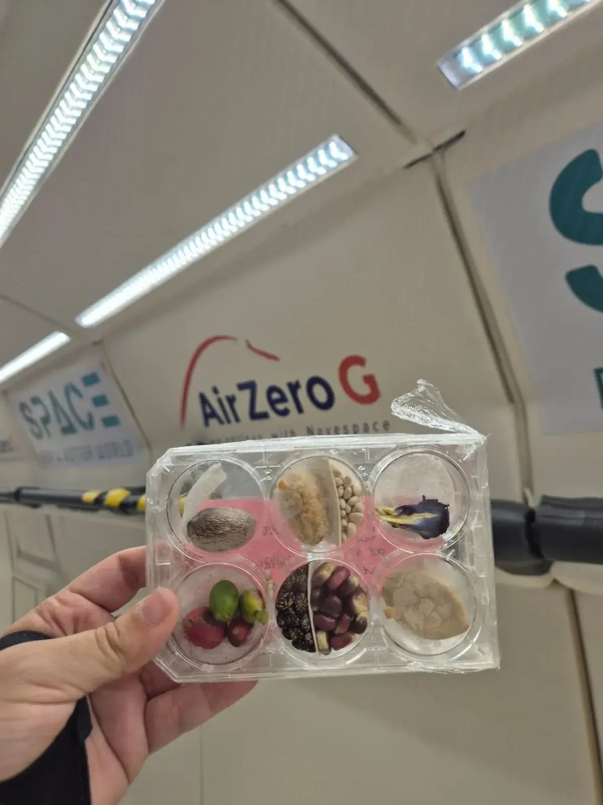 Arias llevó semillas de tacaco, cas, jocote, pejibaye, maíz pujagua, café, frijol ingrato y flores de clitoria durante el vuelo de microgravedad.