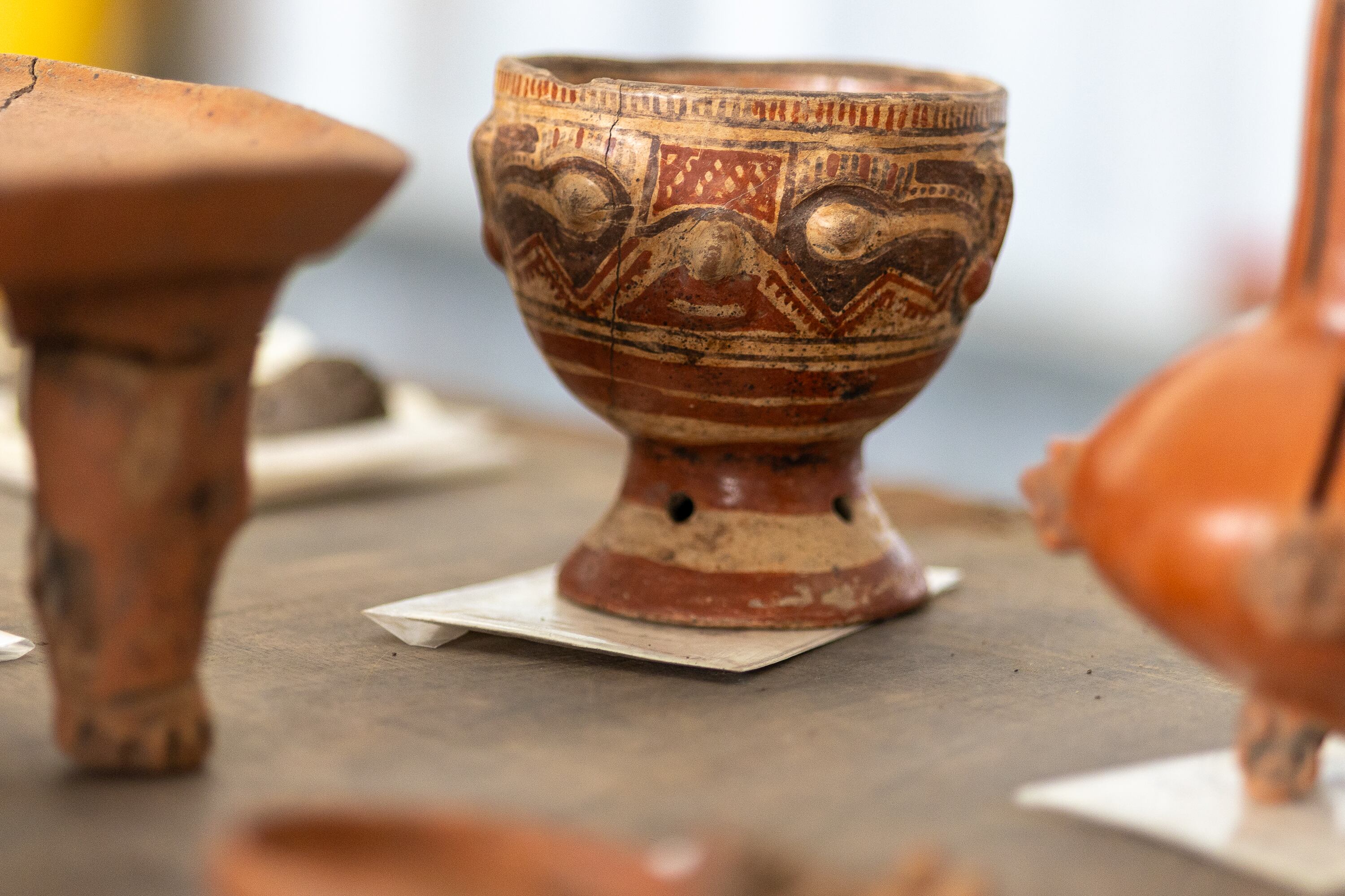 19/02/2025, Cartago, Agua Caliente, encuentran un cementerio arqueológico en un desarrollo habitacional que estaban en proceso de construcción encuentran Agua Caliente.