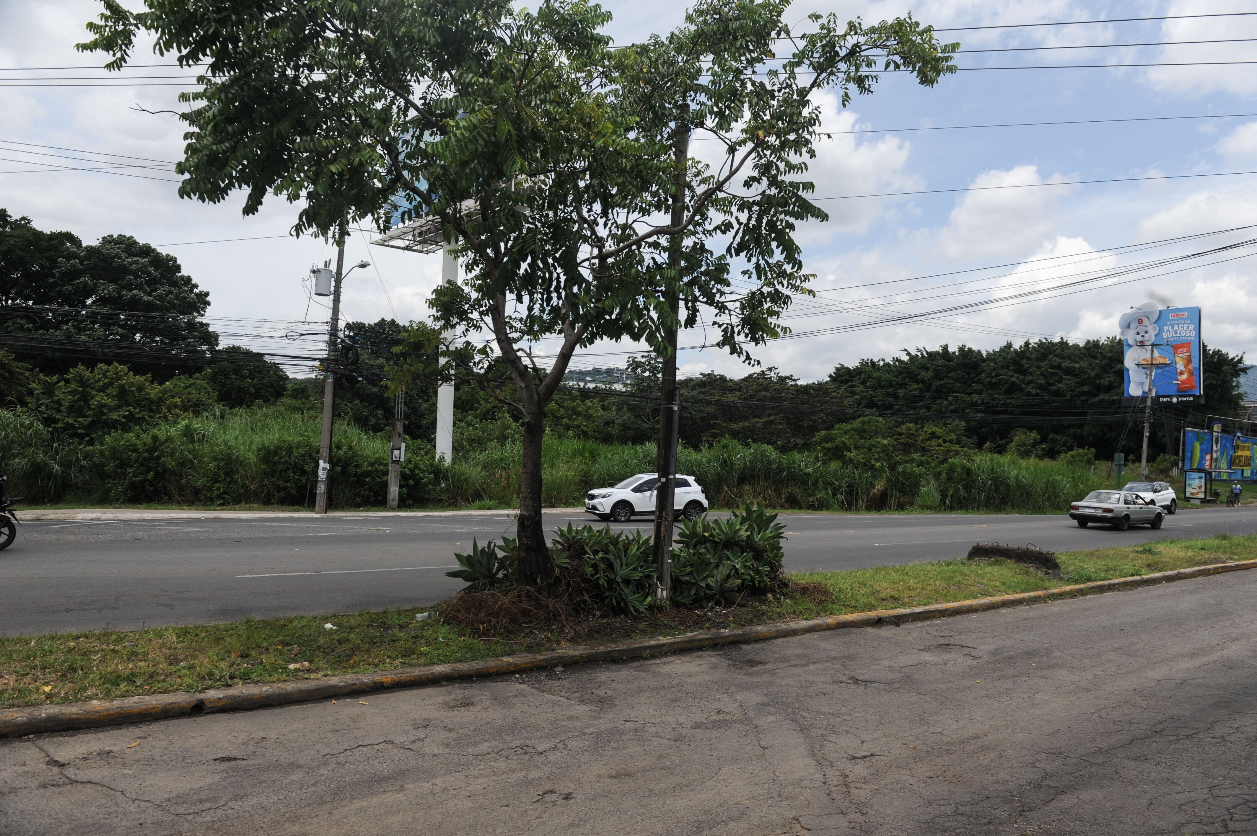 Seguimiento a triple homicidio en Lindora.