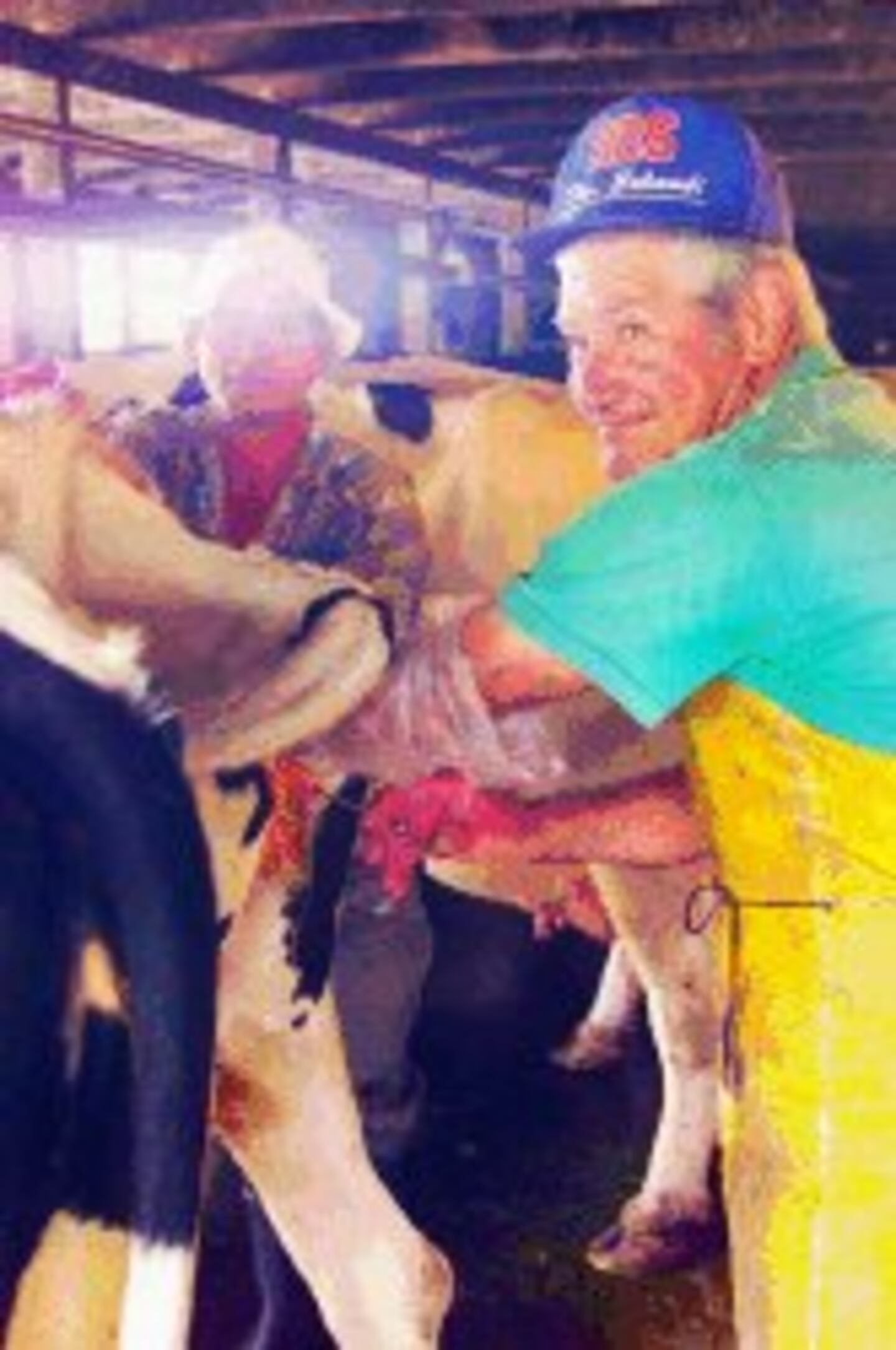 Es el único, es ‘Papá Toro’ | La Nación