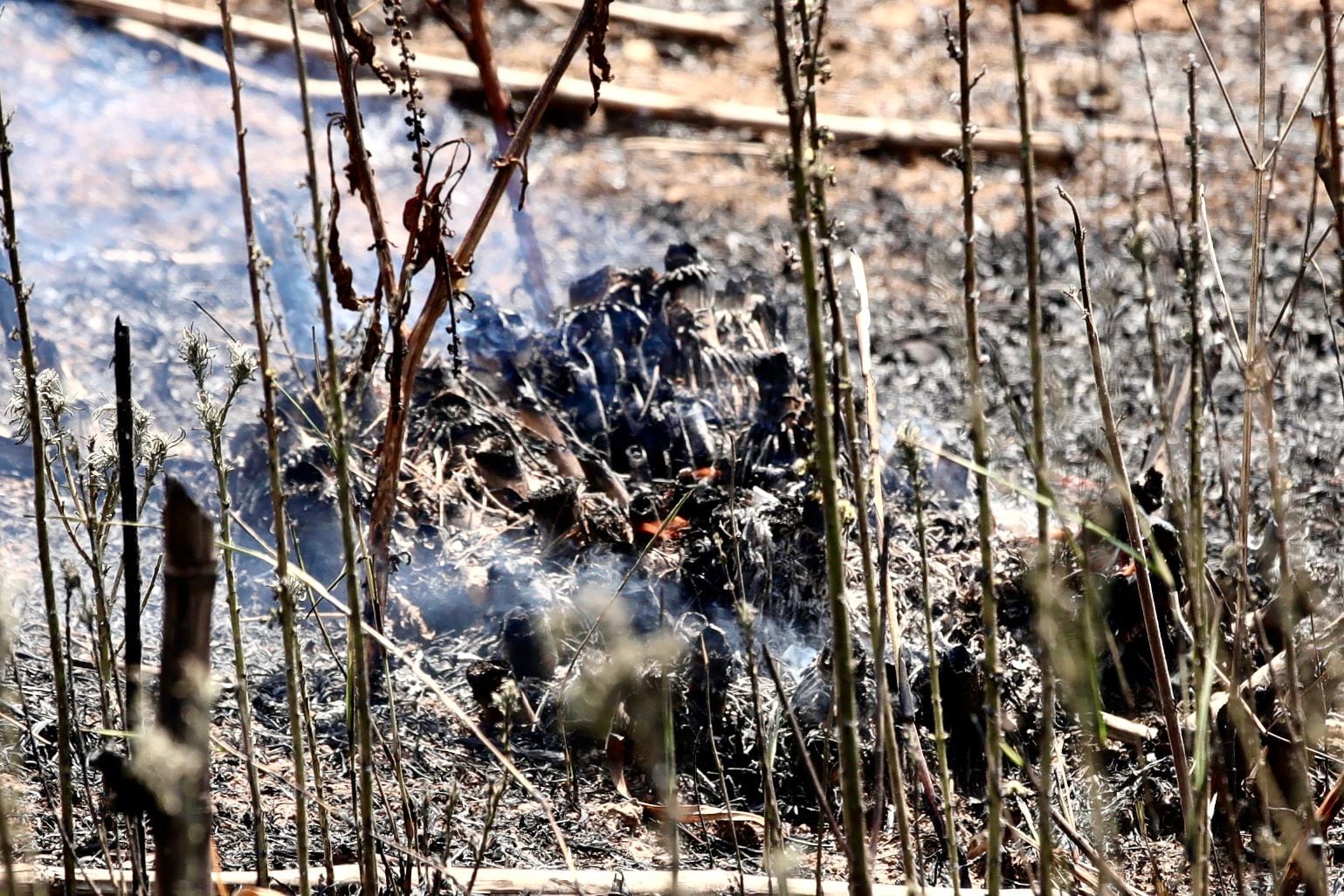 Incendio en Los Guidos