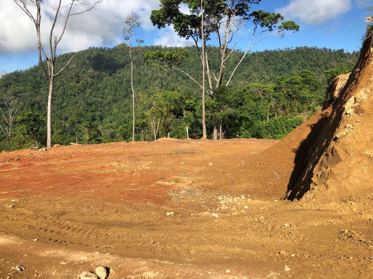 Aparente destrucción de bosque en Portalón de Quepos por la construcción de un residencial.