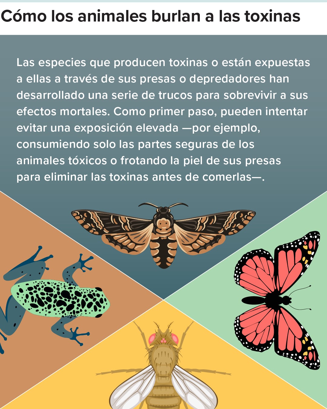 Explicación de la inmunidad al veneno en los animales.