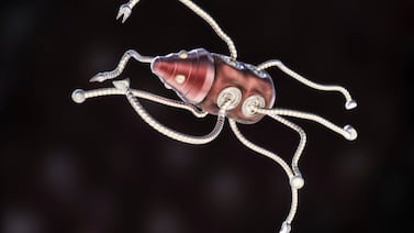 En busca de la cura contra el cáncer