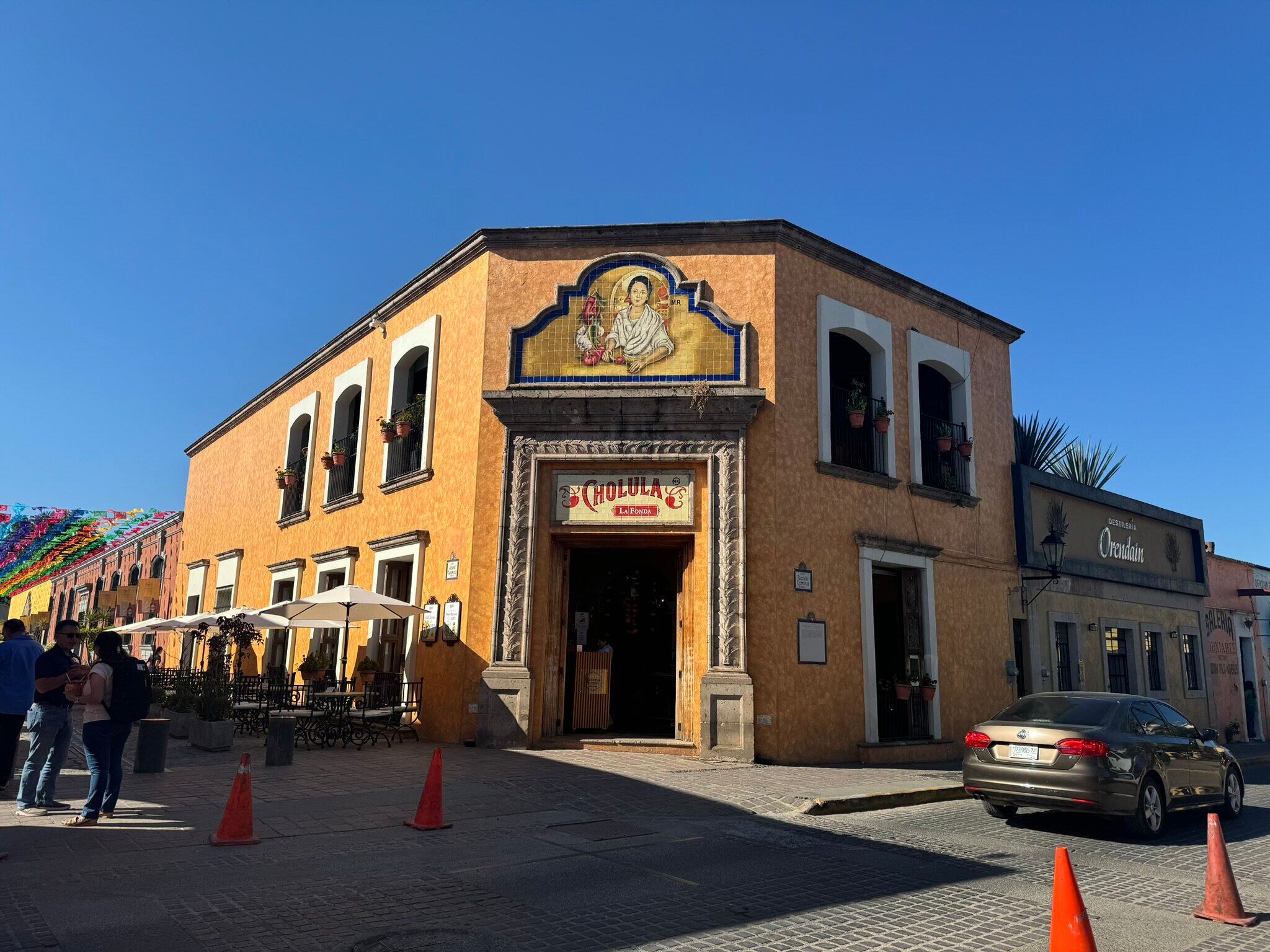 Planta con pinta de peligrosa es la minita de oro del tequila mexicano.