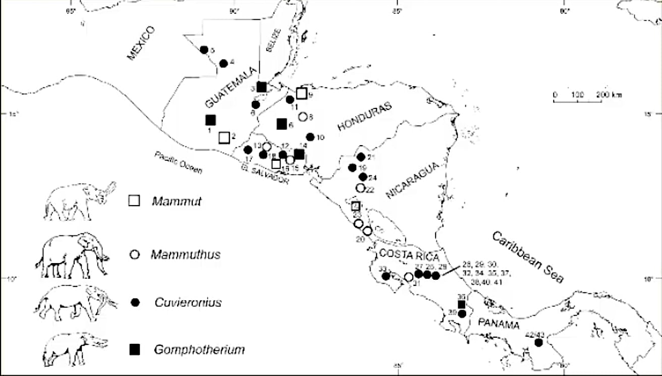 Registro de fósiles de proboscidios en Centroamérica mostrada por Spencer G. Lucas. Los proboscidios eran un orden de mamíferos placentarios, caracterizados principalmente por poseer una trompa prensil larga que resulta de la fusión de la nariz y el labio superior.