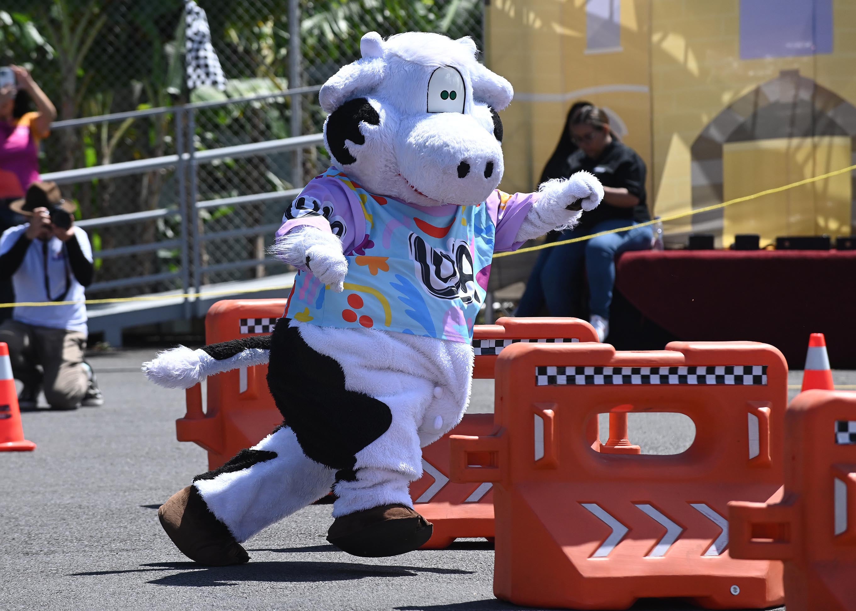 El personaje de la Vaca Lula, de Dos Pinos, en competencia en el Museo de los Niños.