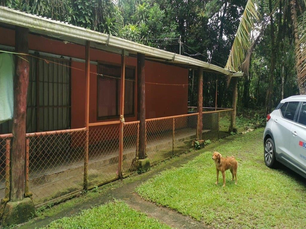 Fotografía de una casa en Las Horquetas, Sarapiquí, en venta con un 40% de descuento. Cuenta con tres habitaciones, dos baños, cochera y amplio terreno con zona verde.