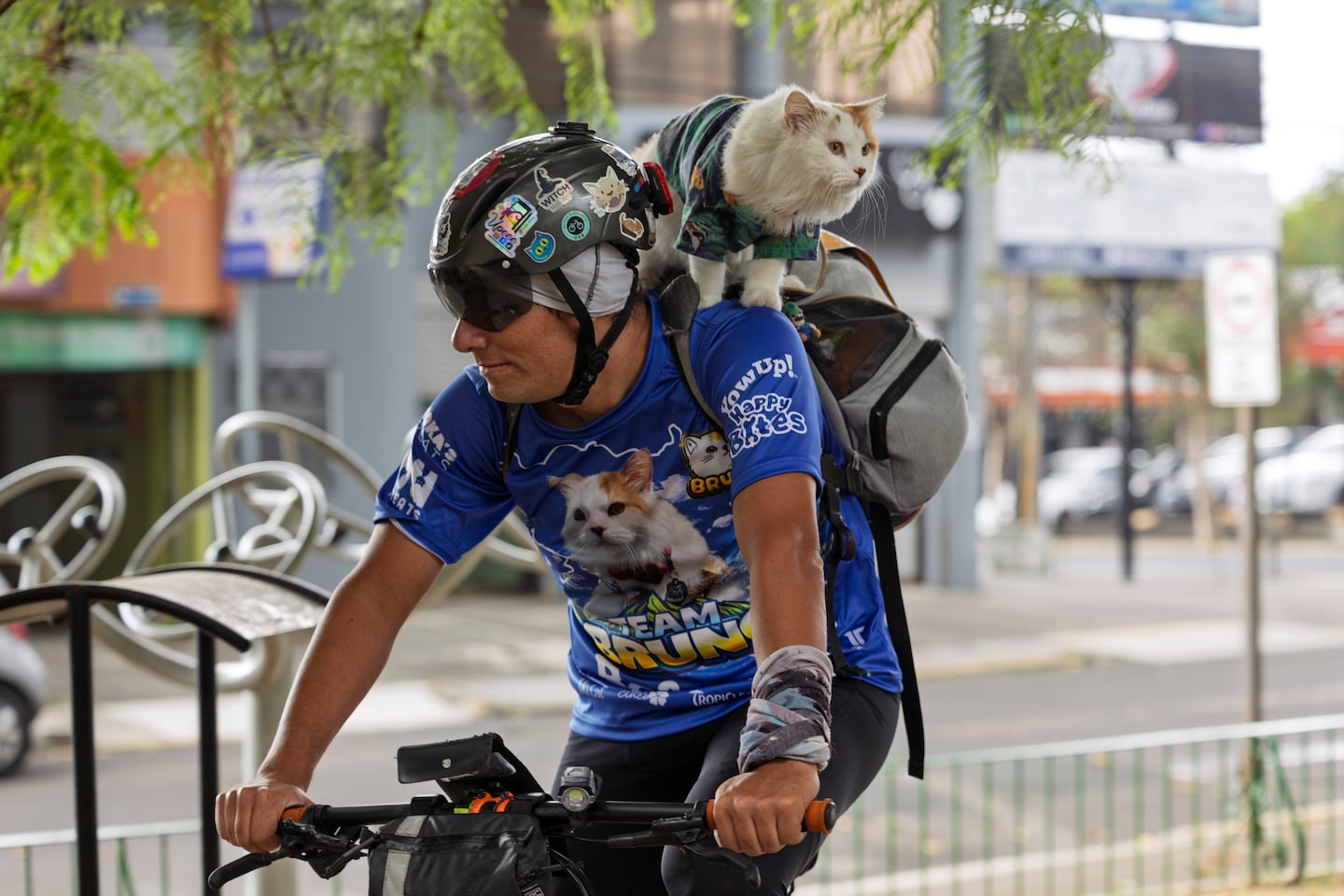 El gato que recorre Costa Rica en bicicleta con su dueño: así es la vida de Bruno, el minino cletero