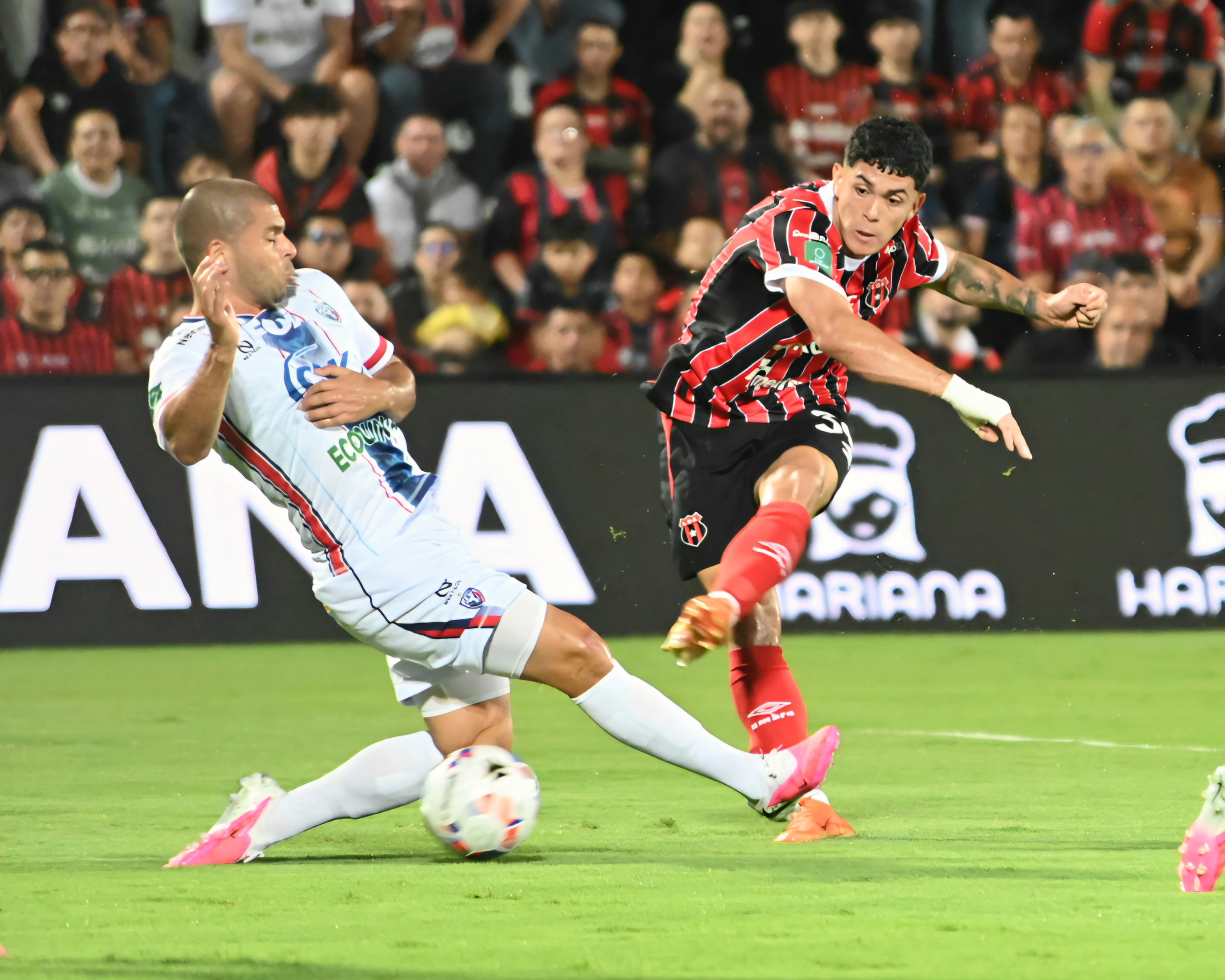 23 de agosto de 2026. Estadio Alejandro Morera Soto. 18:00 hrs. La Liga Deportiva Alajuelense juega contra la Asociación Deportiva San Carlos en partido correspondiente a la jornada 5 del Torneo de Apertura de la Liga Promérica. Otro dato relevante del juego es el retiro oficial del delantero Jonathan McDonald del fútbol. En la foto: Ismael Rescalvo técnico de la liga y Walter Centeno de San Carlos. Retiro del jugador Jonathan Mcdonald. Jugadas relevantes del partido. Foto: Albert Marin