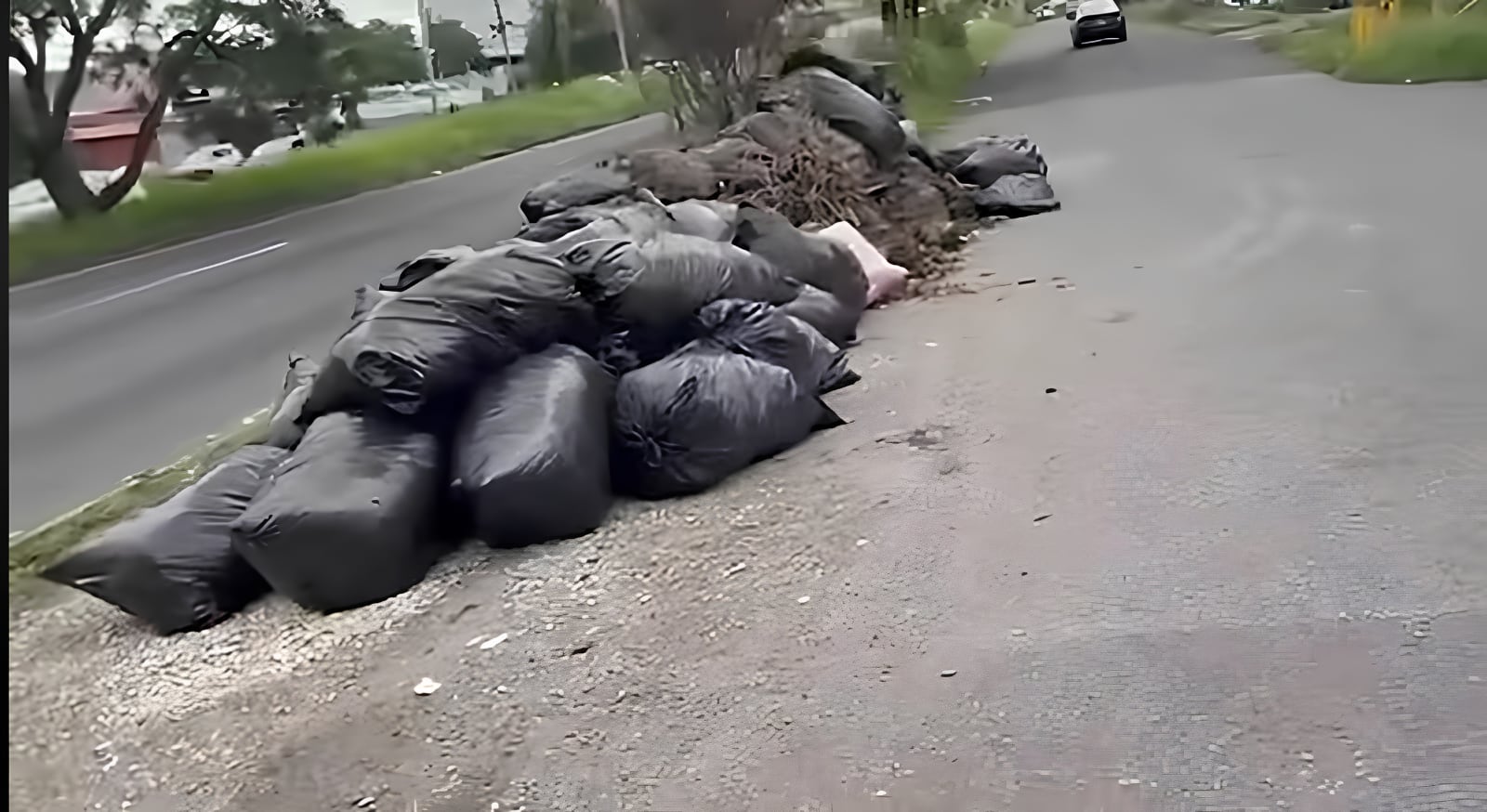 Municipalidad de San José denuncia a conductor por tirar basura en Circunvalación; después de un proceso judicial infractores podrían exponerse a multas y trabajo comunitario.
