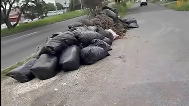 Empresario arroja 24 bolsas de desechos y muebles en vía pública en San José: estas son las sanciones que recibirá