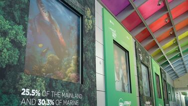 Un pedacito de Costa Rica enamora en París: vea como luce la sede de la OCDE