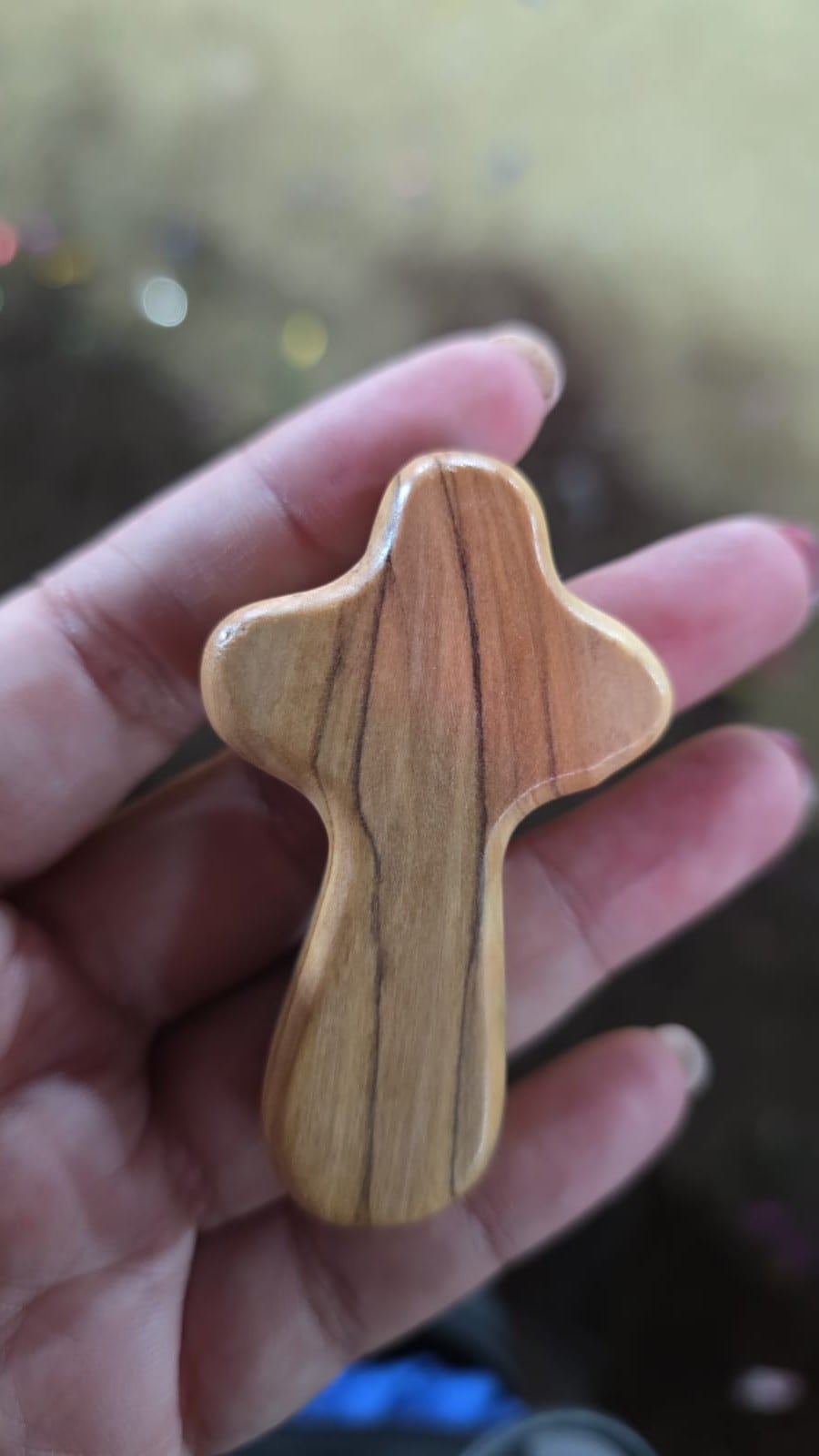 Olga Cozza Teletica Toros