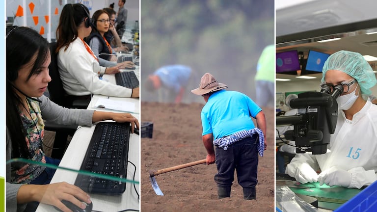 La nueva economía de Costa Rica: ¿Cuáles sectores ganan y pierden peso en la producción?