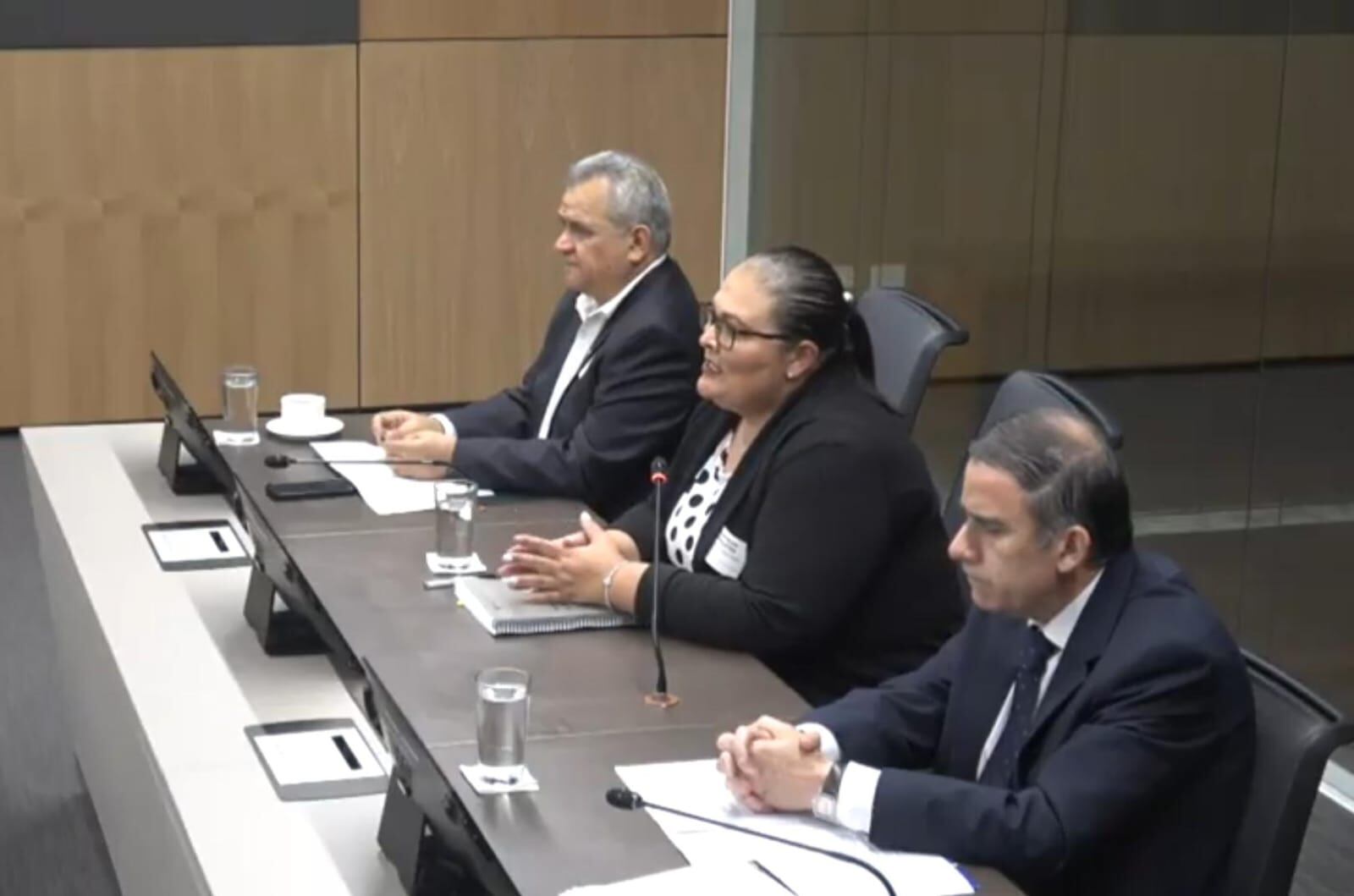 La directora de Cosevi fue la primera en acudir a la Comisión de Infraestructura para rendir cuentas sobre el proceso de selección del operador de la inspección técnica.