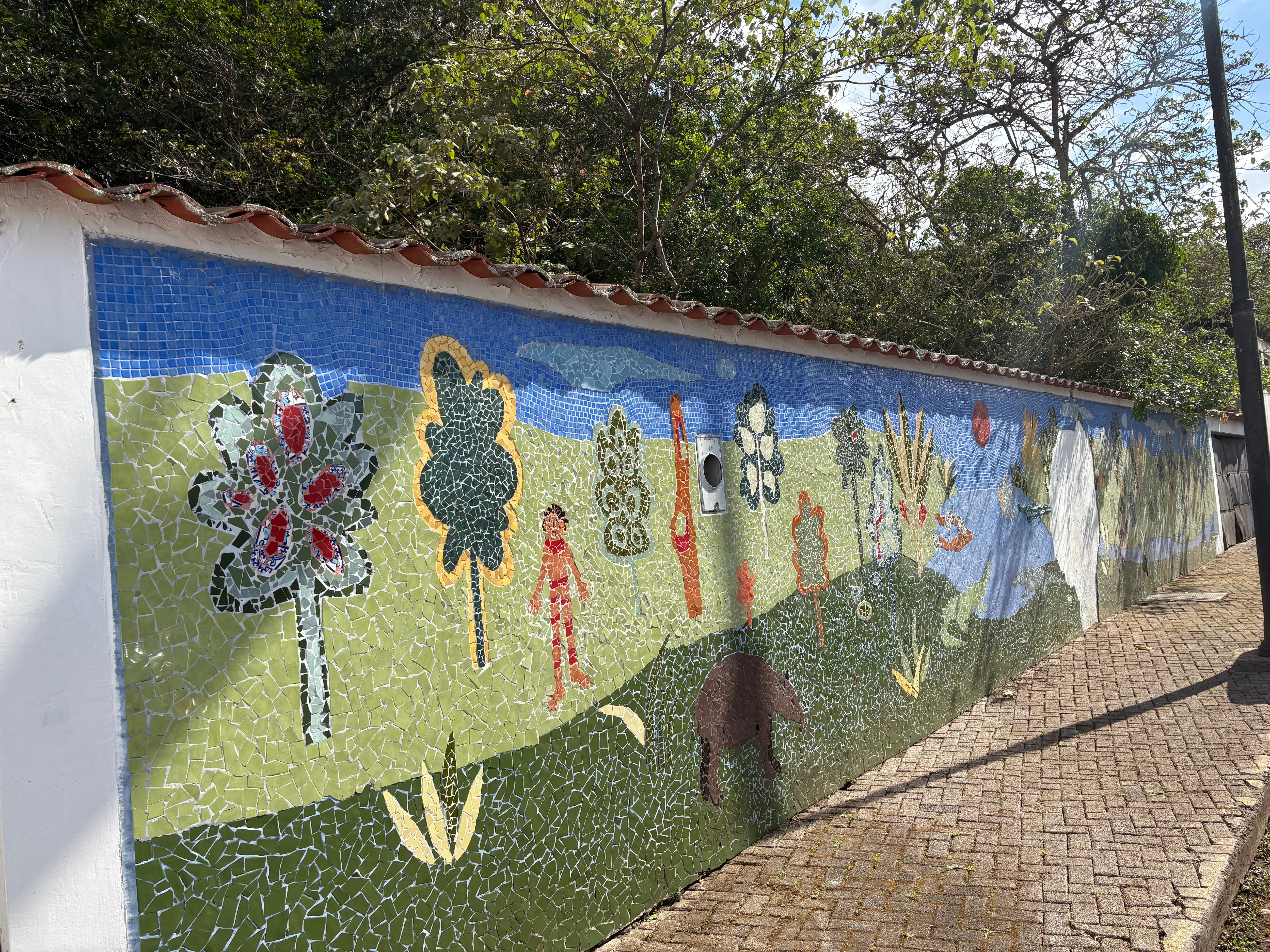 Simón Bolívar EXCLUSIVO VIVA