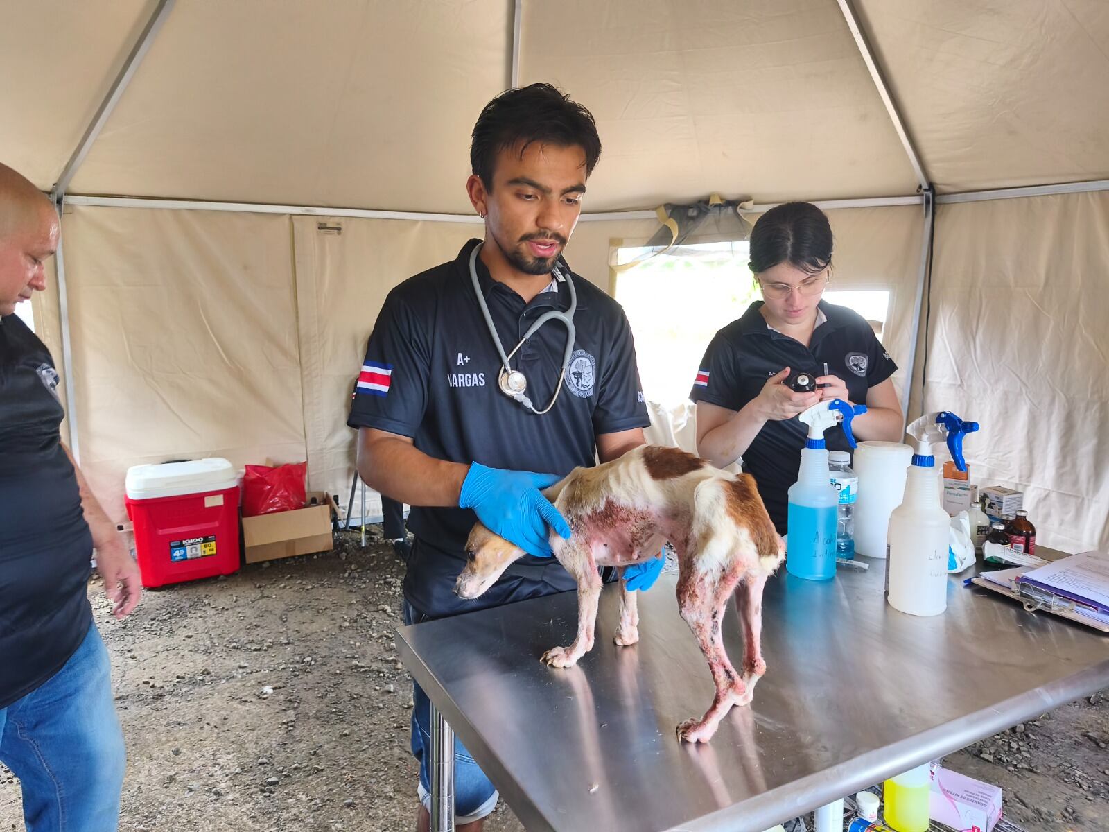 Medicina Táctica, una organización sin fines de lucro, dedicó un fin de semana a atender a los vecinos de varias comunidades fronterizas con Nicaragua. Se practicaron procedimientos odontológicos, vasectomías e incluso, atención veterinaria.