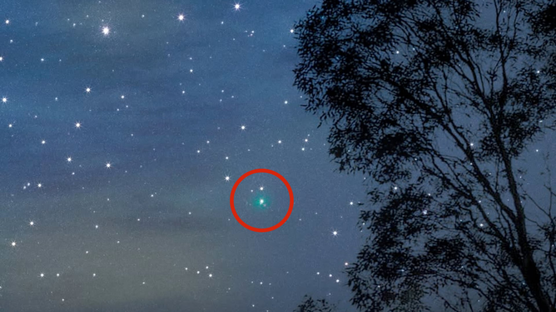 La imagen del cometa 3I/ATLAS sorprendió a científicos por sus detalles. Fue tomada desde Egipto y confirmó su origen interestelar