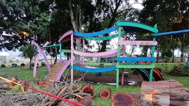 Municipalidad corta árboles en parque donde murió niño en Cartago