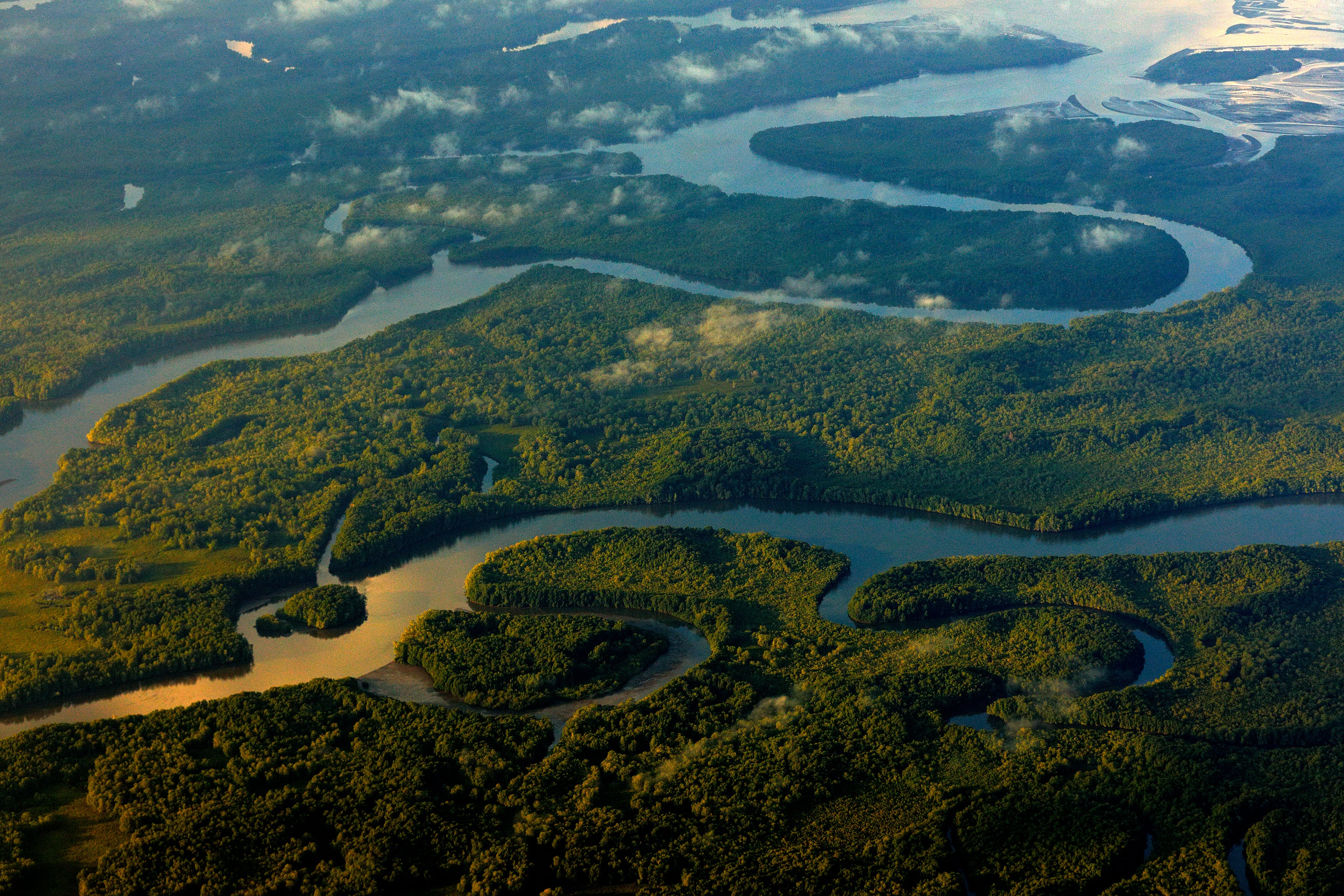 Detalle aéreo de un sector del Parque Nacional Corcovado en Osa, Puntarenas. Esta área silvestre protegida se creó en 1975. Posee el 2,5 % de la biodiversidad del mundo. Fotografía: