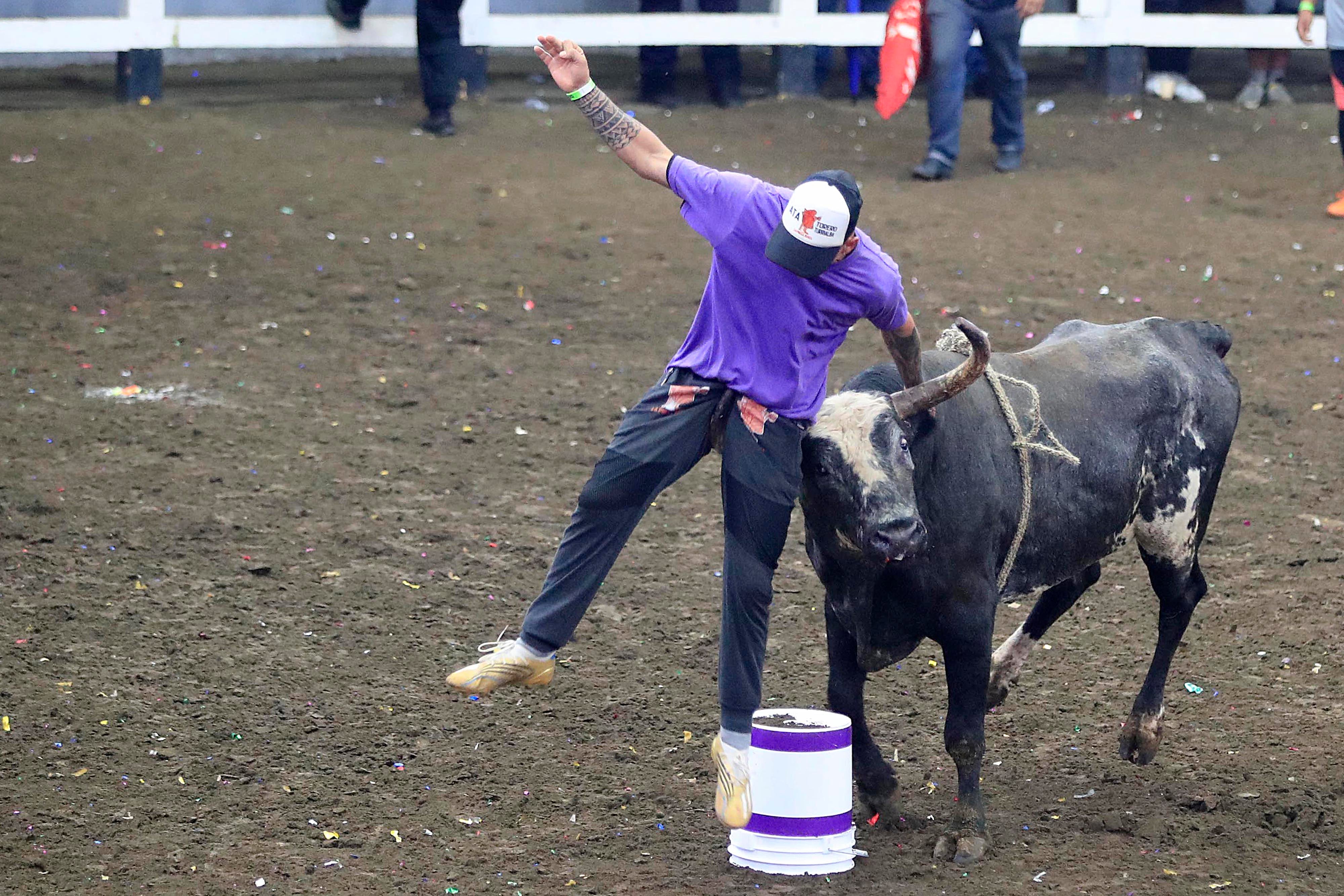 28/12/2023 Toros a la Tica, Palmares. Corrida de toros vespertina, cuya transmisión estuvo a cargo de Teletica Canal 7. Toros de monta y de cacho bravo (de corridas) de ganadería La Pinta fueron los encargados de ponerle la emoción dentro de la plaza. Pero además del ganado, montadores y toreros improvisados se llevaron las palmas de los espectadores que llenaron las gradas del redondel. Otra actividad que llamó mucho la atención y fue muy celebrada fue el Campeonato Nacional de Barrileras.
