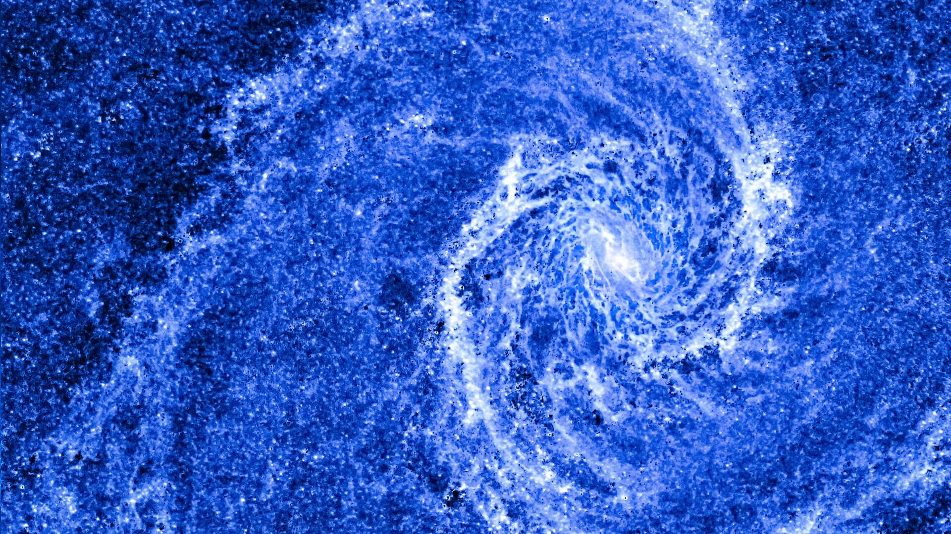 De espirales vegetales a logotipos y análisis facial por IA, la proporción áurea sigue siendo clave para entender la estética en la ciencia y la cultura.