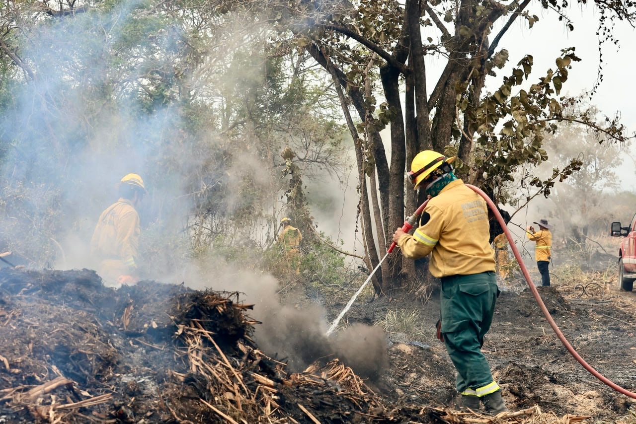 El incendio en Palo Verde tiene trabajando a más de 60 bomberos por día ya que el fuego está encerrado pero no controlado. Se quemó ya una extensión como de unas 56 parques La Sabana.