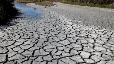 ‘Niño Godzilla’: el fenómeno climático extremo que alerta a científicos por su posible impacto en 2026
