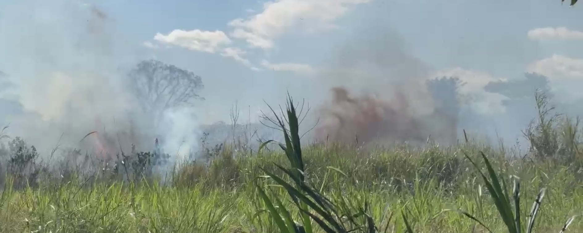 Un incendio en las cercanías del Aeropuerto Daniel Oduber afectó varios vuelos.