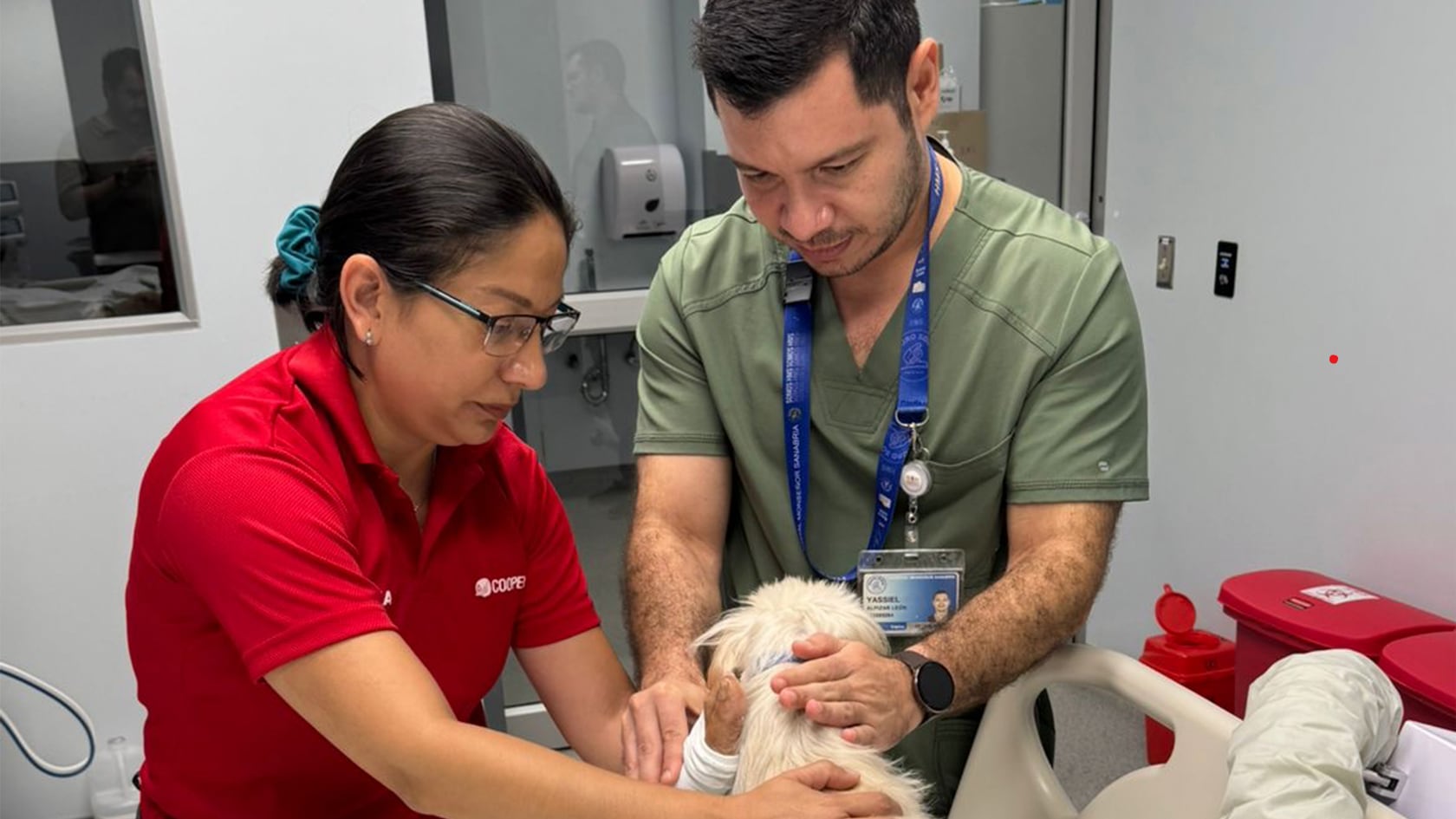 La UCI del Hospital Monseñor Sanabria sumó terapia con mascotas como parte de un modelo de atención más humano e integral.