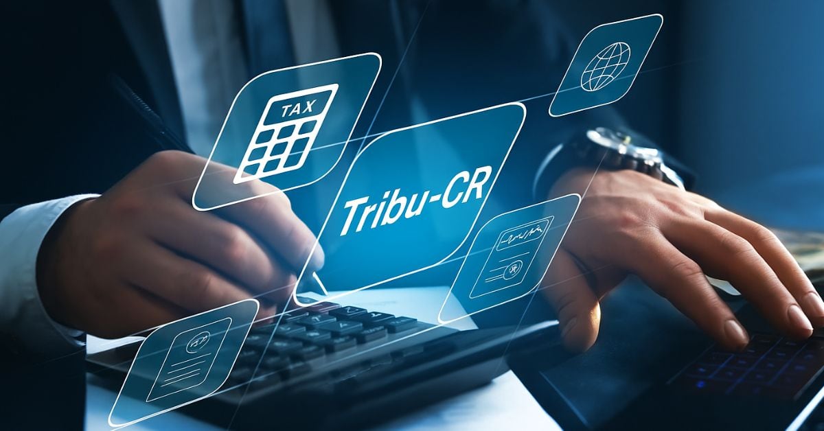 En la imagen una persona utilizando una computadora y con un texto que dice Tribu-CR.