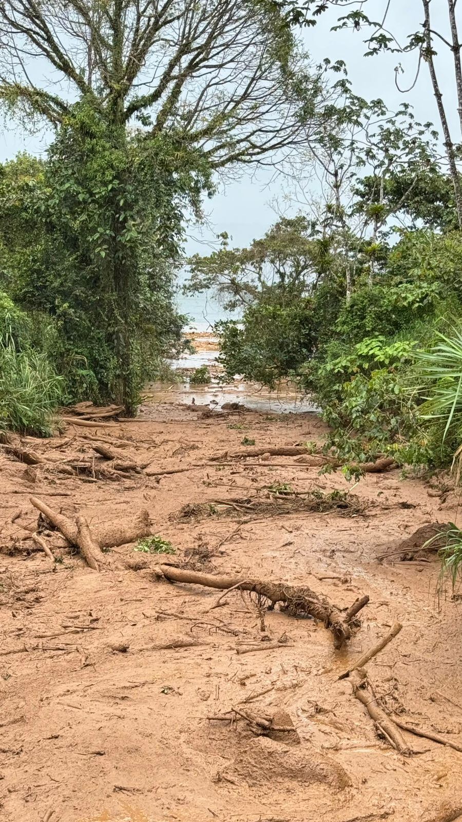 Se presume que un represamiento en la parte alta del río Piedras Negras favoreció la avalancha de lodo y palos de este jueves 30 de enero.