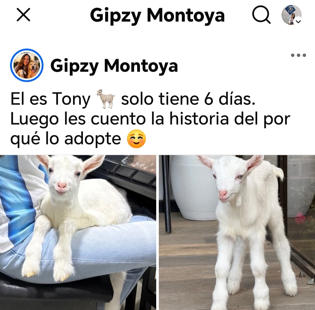 Gipzy Montoya