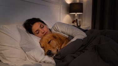Veterinarios explican que las personas que duermen con sus mascotas no siempre descansan mejor y pueden exponerse a más riesgos de salud