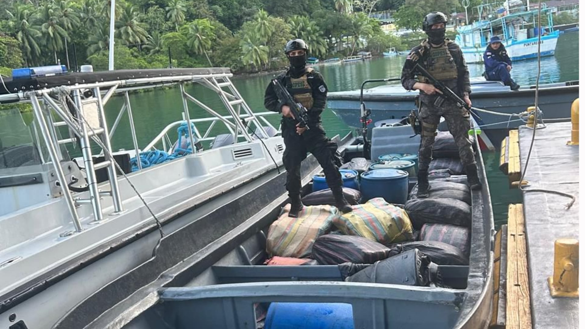 El Ministerio de Seguridad decomisó tonelada y media de marihuana al sur de Puntarenas.