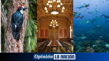 La ciencia en el corazón de la política exterior de Costa Rica