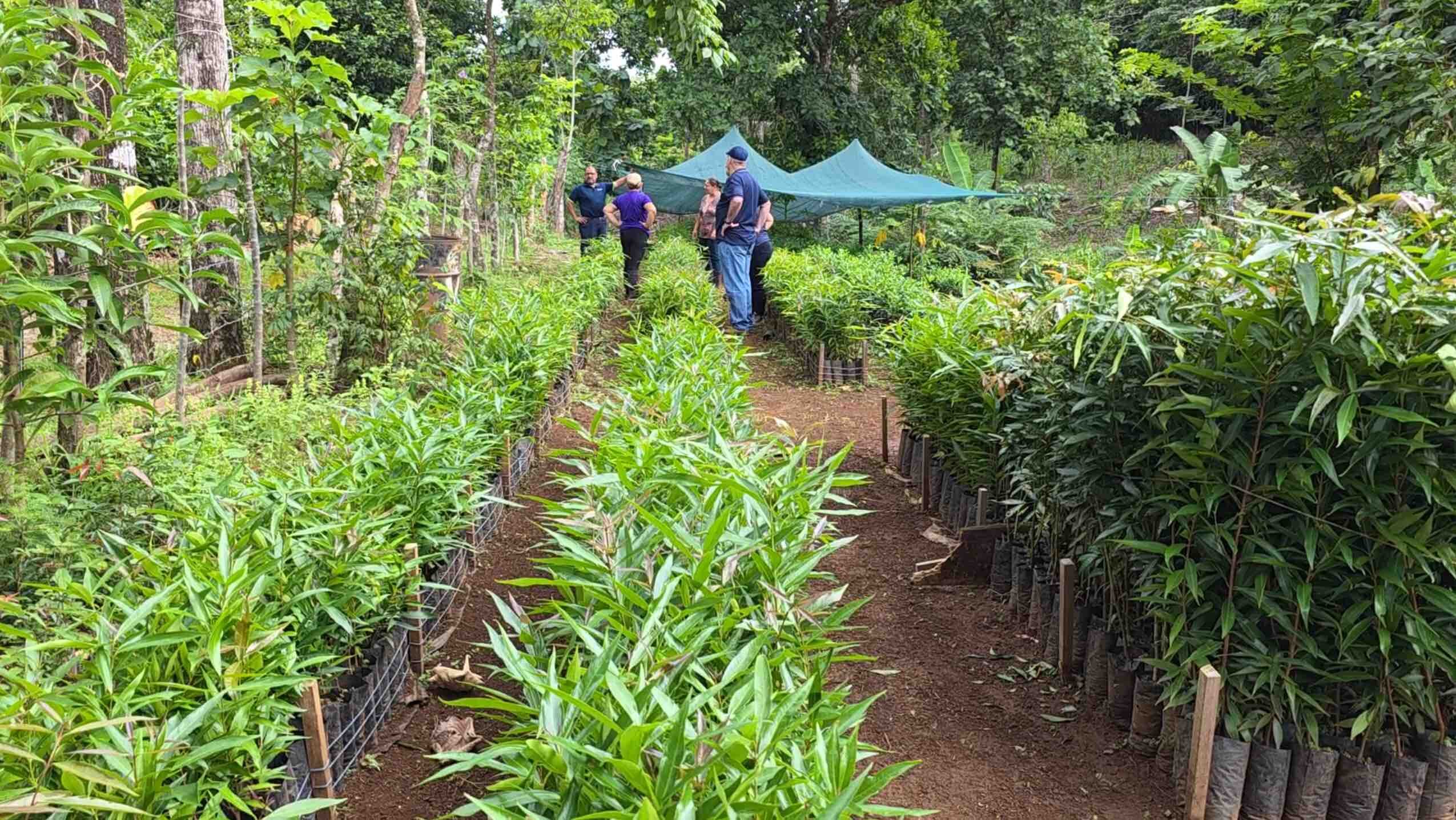 Vivero