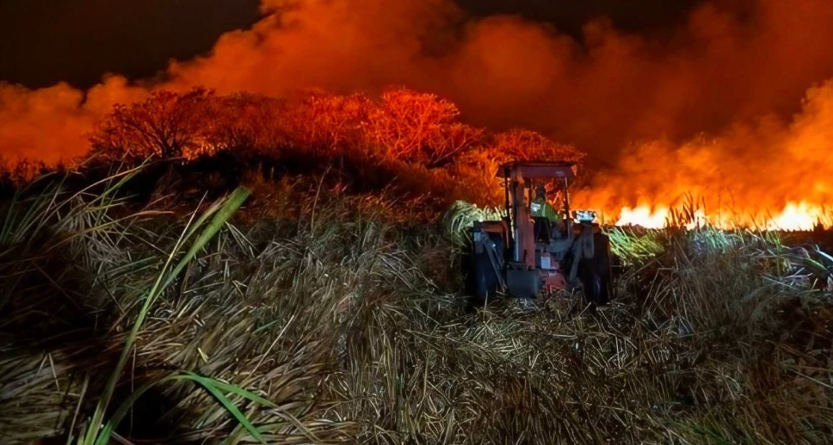 Incendio en Parque Nacional Palo Verde deja 18 bomberos con afectaciones por inhalación de humo