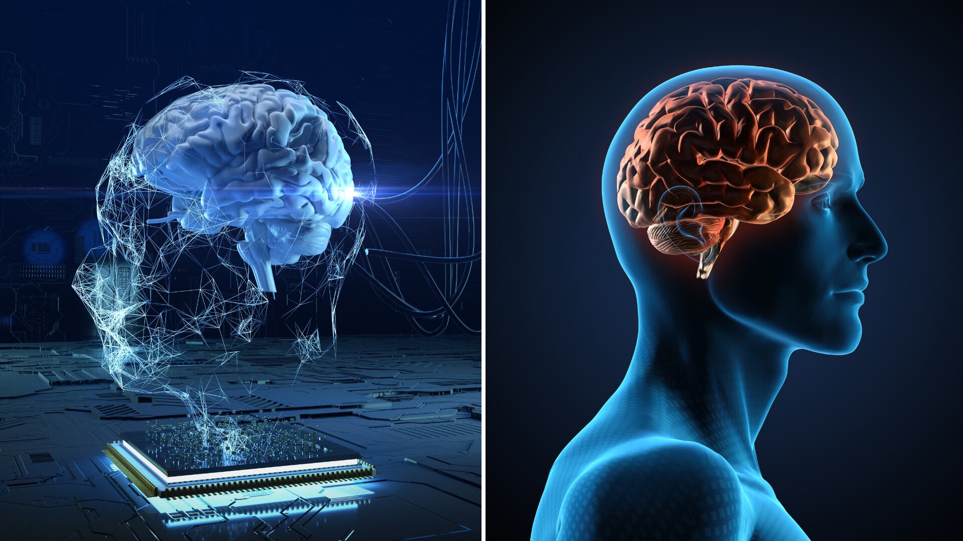 Expertos advierten que el desarrollo de inteligencia artificial hacia la AGI enfrenta límites pese a millonarias inversiones.