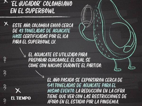 EE.UU. le importó 43 toneladas de aguacate Hass a Colombia para el Super Bowl - EL TIEMPO - GDA
