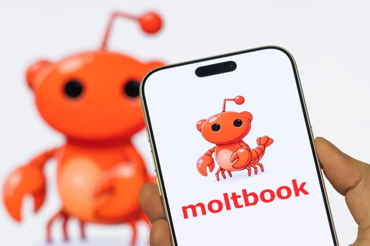 Moltbook, una red social en la que interactúan solamente agentes de inteligencia artificial (IA) sin involucramiento humano. El logo de esta red tiene la ilustración de un cangrejo.