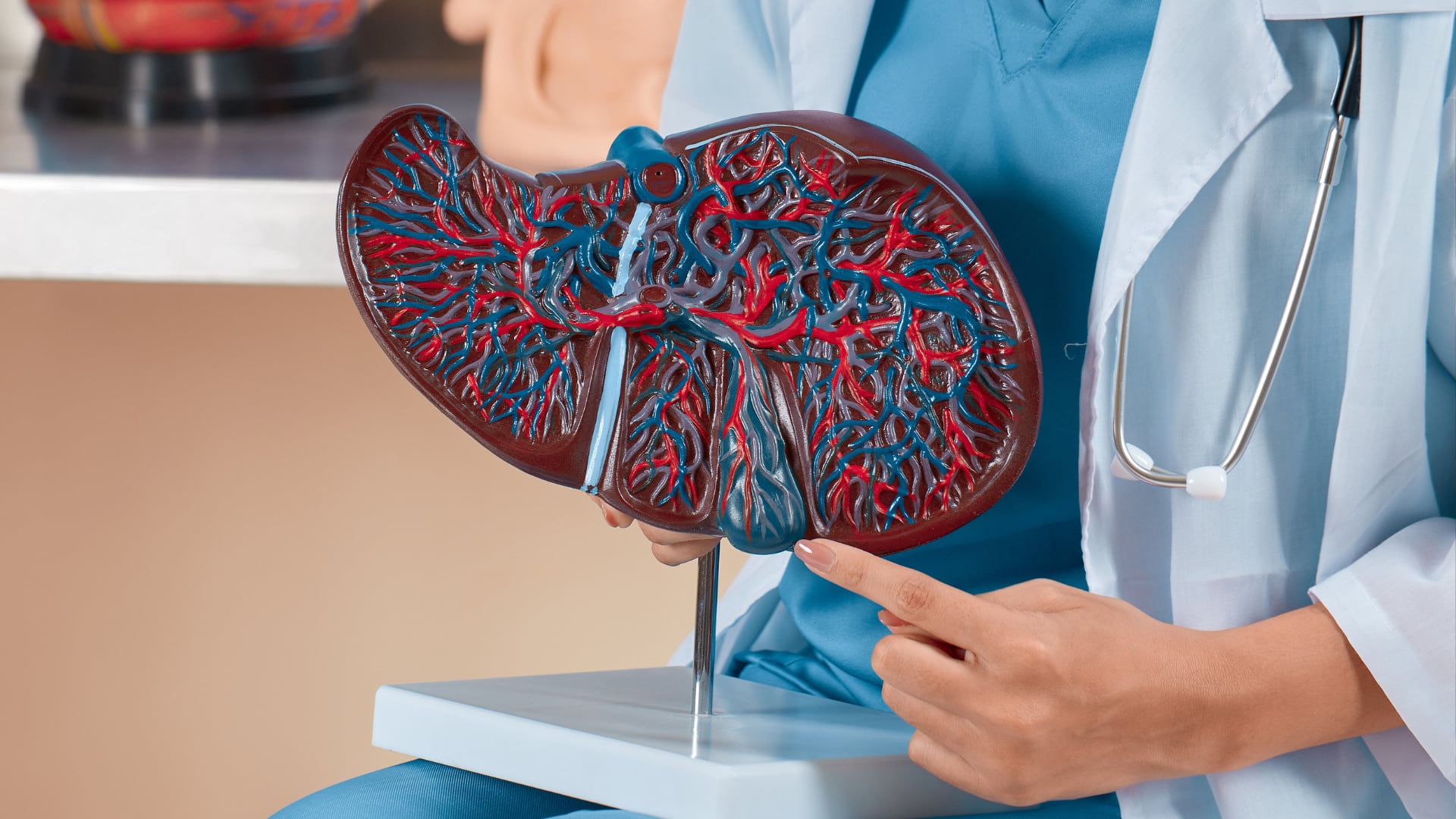 El cáncer de hígado podría duplicar su incidencia hacia 2050. La prevención depende de vacunas, diagnóstico precoz y cambio de hábitos.